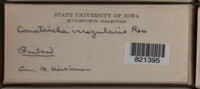 Image Associated With the Occurence